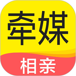 球速国际在数字营销中的应用与影响